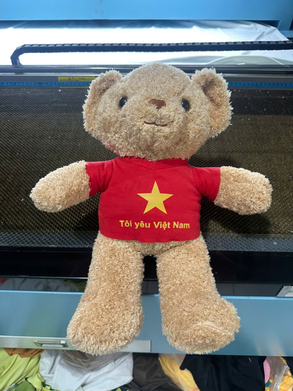 thu nhoi bong toi yeu viet nam